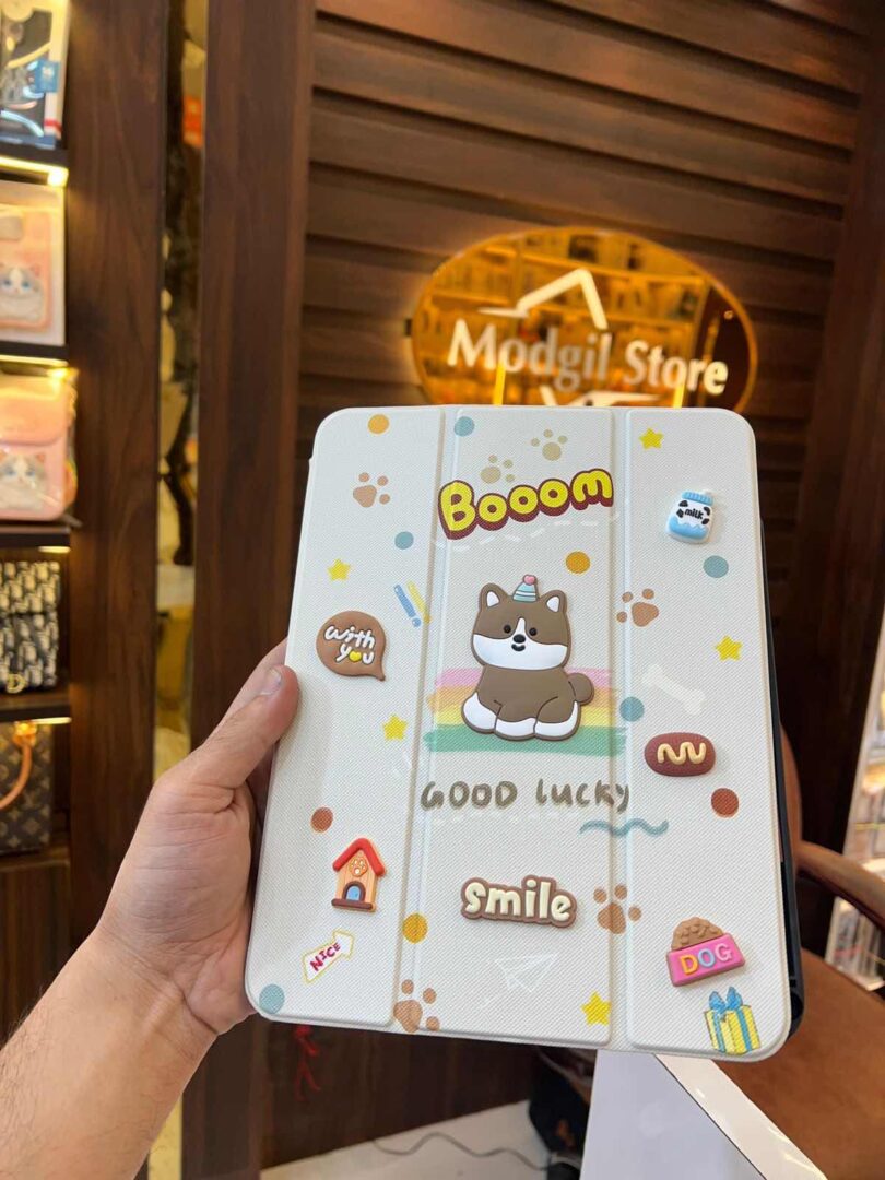 Boom iPad case