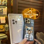 Nimmy Pitbull case