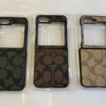 CO flip case