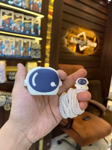 Astronaut charger case