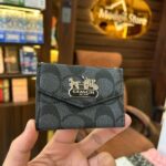 CO card holder (Black)