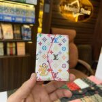 LL.V card holder (Multi-colour) mini logo