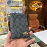 CO passport holder